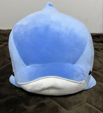 2등 돌고래 봉제 인형 하치케이시마 파라다이스