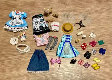 리카짱 옷 갈아입기 의류 잡화 세트