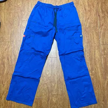 Dickies 파랑 카고 팬츠