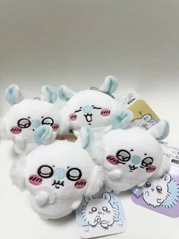 치이카와 (먼작귀) 모몽가 키링 세트