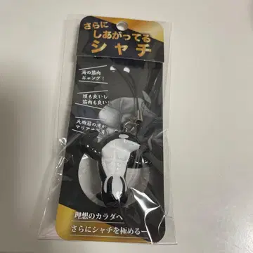 더욱 완성된 범고래