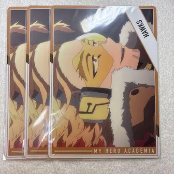 히로아카 브라보드 컬렉션 호크스