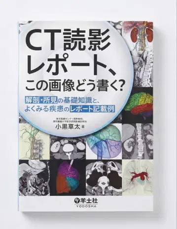 CT 판독 리포트, 이 이미지는 어떻게 작성할까?