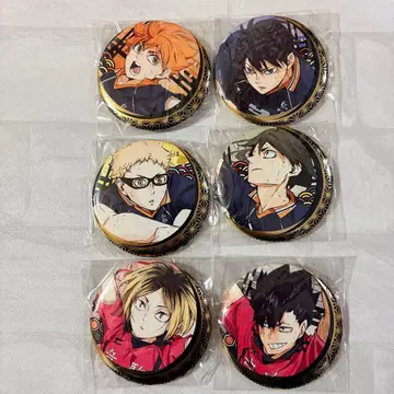 하이큐!! 금박 와시 배치 전종 세트