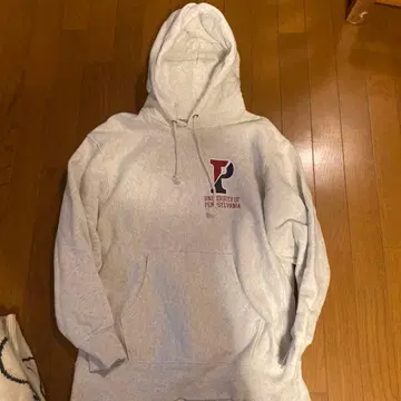 펜실베이니아 대학교 그레이 후드티 L