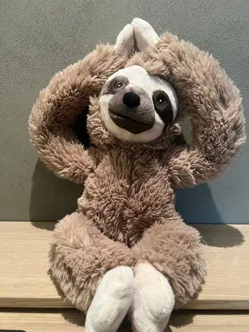 나무늘보 봉제 인형