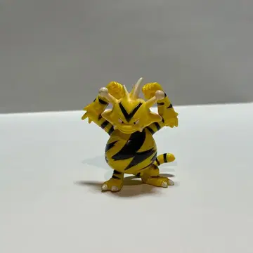 레어 초기 포켓몬 몬코레 에레브 (1/1까지)