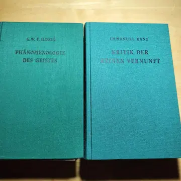 칸트 [순수이성비판] 헤겔 [정신현상학]