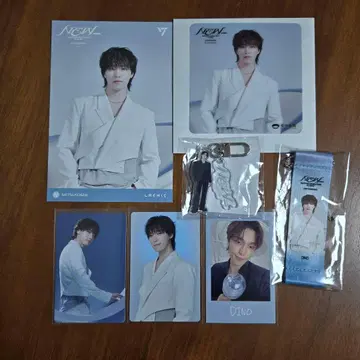 세븐틴 NEW 디노 엽서 코스터 아크릴 키링 플래그 트레이딩 카드