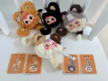 사무엘 고양이 세트 71