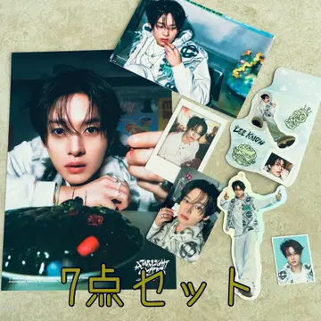 스키즈 KARMA SKZOO VER. 키링 포가리 필릭스 새상품