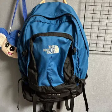 THE NORTH FACE HOT SHOT 백팩