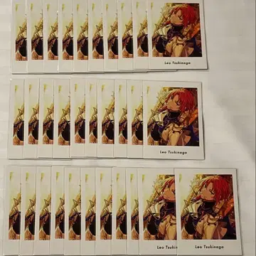 앙스타 파샤츠 레오 vol.1 Action 넥스트 도어 31장