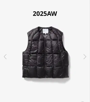 Goldwin 0 쓰리디멘셔널 다운라이트 베스트