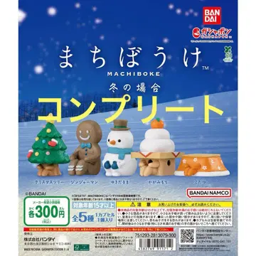 기다림 겨울의 경우 컴플리트