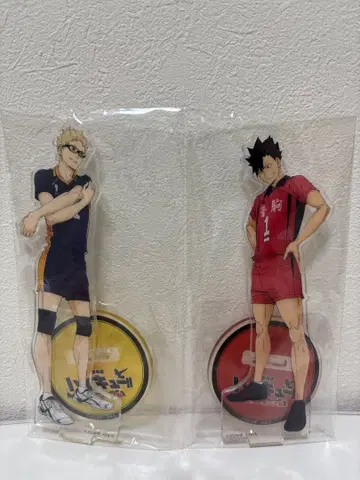 하이큐! 쿠로오 츠키시마