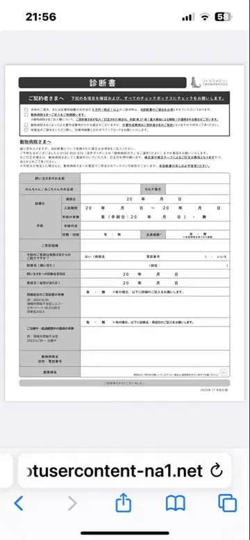 윌스위츠 피규어 컬렉션 컬러풀 멀티 참