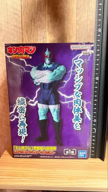 근육맨 피규어 약 25cm 완벽 초인 시조편 네메시스