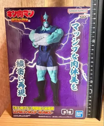 근육맨 피규어 약 25cm 완벽 초인 시조편 네메시스