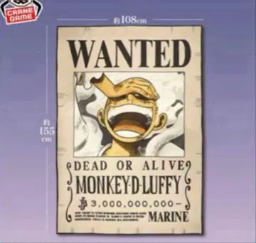 몽키 D 루피 원피스 수배 패턴 담요