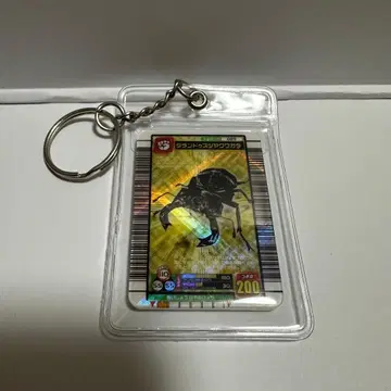 무시킹 타란두스 광택사슴벌레