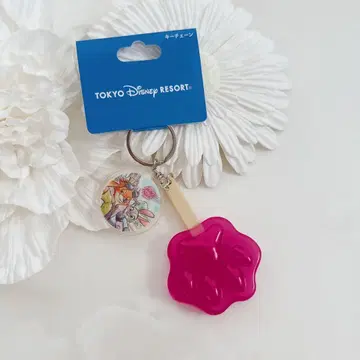 익명 배송 디즈니 리조트 주토피아 키체인