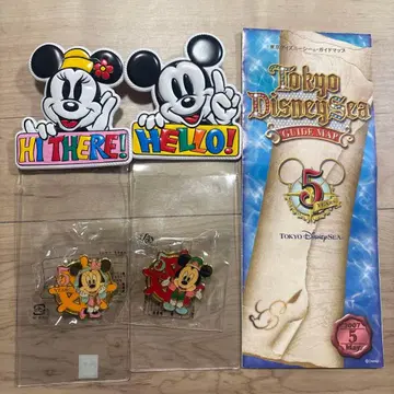 디즈니랜드 디즈니씨 티켓 케이스 핀 배지 5주년