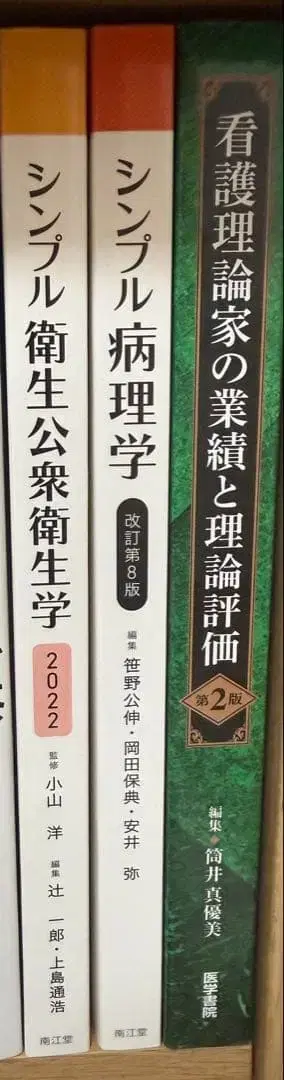 간호 이론가의 업적과 이론 평가 2