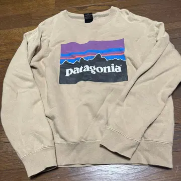 파타고니아 patagonia 맨투맨 베이지 트레이닝복
