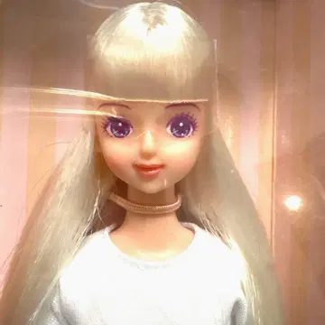 2025년 DS76 모델 미라이 리카짱 캐슬