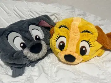 트럼프와 레이디 팬캡