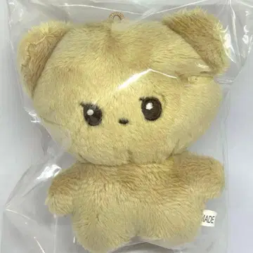 ASTRO 은우 봉제 인형 마스코트 마스터 차은우