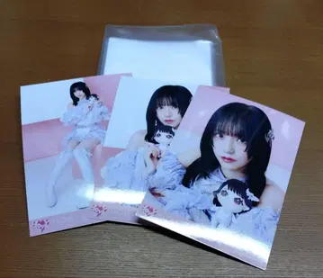 이코라부 브로마이드 묶음 판매