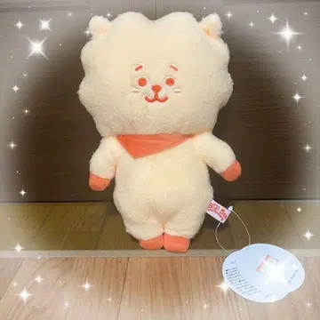 [ BT21 ] 5주년 기념 레인보우 컬러 비니 인형 RJ 오렌지