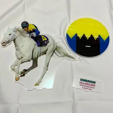 소다시 BIG 아크릴 스탠드 2021 벚꽃상