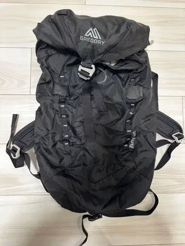 GREGORY 블랙 VERTE25