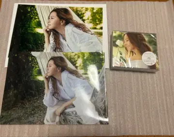 쿠라키 마이 B-Side BEST CD 일반ver 브로마이드 클리어 파일