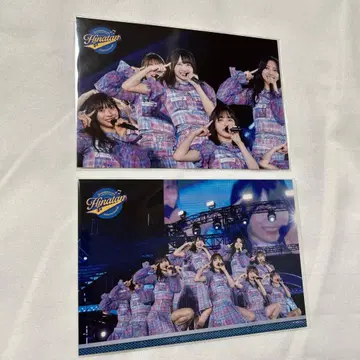 5번째 히나탄사이 엽서 4기생 히나타자카46