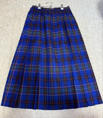 구제 의류 가게에서 구매한 파란색 플리츠 스커트