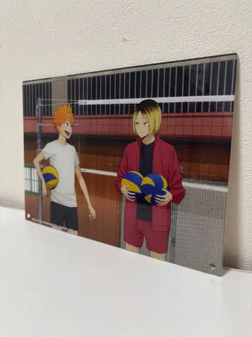 하이큐! 히나타 쇼요 코즈메