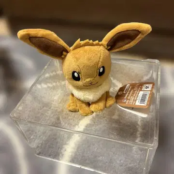 이브이 봉제 인형 택 포함