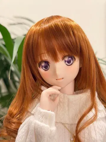 보크스 드림 초이스 아키하바라 한정판 헤드 DDH08 세미 화이트