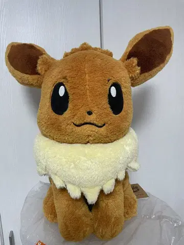 포켓몬 센터 클래식 보아 봉제 인형 이브이 피카피카 박스 당선품