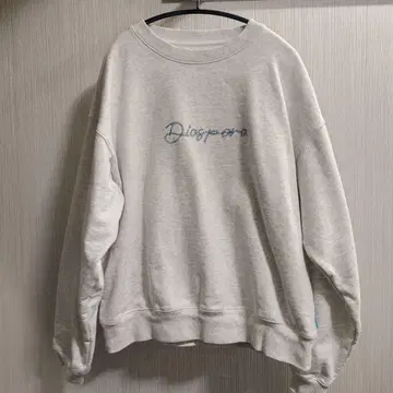 Diaspora skateboards 2024AW 맨투맨