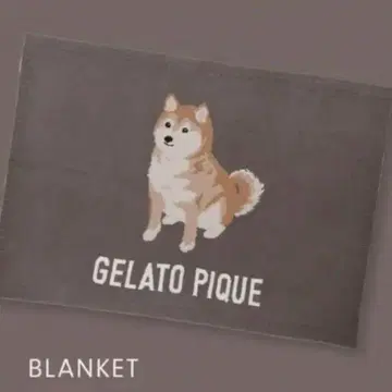 시바견 담요 그레이 젤라또피케 한정판 디자인