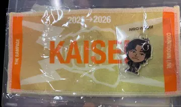 타케치 카이세이