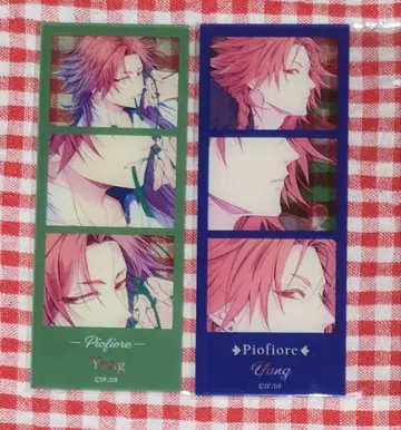 피오피오레의 만종 양 아크릴 포토그레이 아크릴 카드 스텔라워스