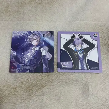 마네키네코 니지산지 사카키 네스 코스터 3SKM