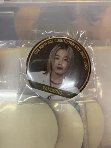 THE RAMPAGE 야마모토 쇼고