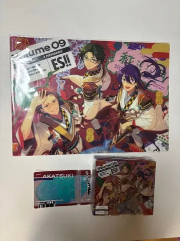 앙스타 홍월 TRIP 묶음 판매